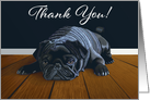 Waiting for Playtime--Black Pug Thank You card