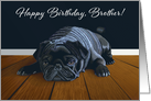 Black Pug Waiting for Playtime--Brother Birthday card