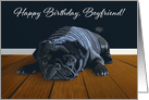 Black Pug Waiting for Playtime--Boyfriend Birthday card