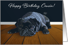Black Pug Waiting for Playtime--Cousin Birthday card