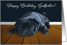 Black Pug Waiting for Playtime--Godfather Birthday card