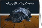 Black Pug Waiting for Playtime--Godson Birthday card