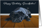 Black Pug Waiting for Playtime--Grandfather Birthday card