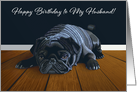 Black Pug Waiting for Playtime--Husband Birthday card