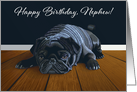 Black Pug Waiting for Playtime--Nephew Birthday card