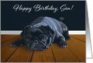 Black Pug Waiting for Playtime--Son Birthday card