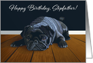 Black Pug Waiting for Playtime--Stepfather Birthday card