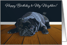Black Pug Waiting for Playtime--Neighbor Birthday card