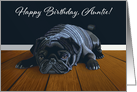 Black Pug Waiting for Playtime--Auntie Birthday card