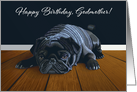 Black Pug Waiting for Playtime--Godmother Birthday card