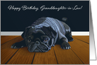 Black Pug Waiting for Playtime--Granddaughter-in-Law Birthday card