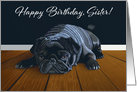 Black Pug Waiting for Playtime--Sister Birthday card