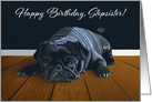 Black Pug Waiting for Playtime--Stepsister Birthday card