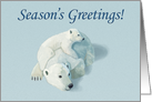 Polar Bear Mother and Cub--Season’s Greetings card