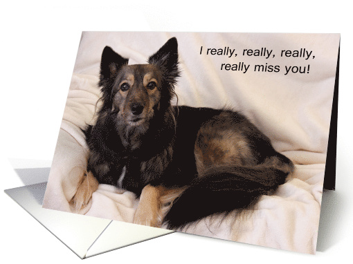 Really Miss You Card--Sad Dog card (1066487)