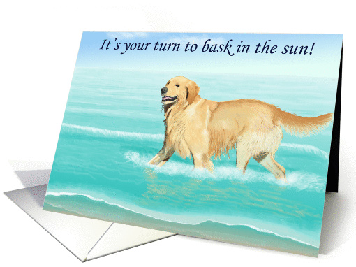 Bask in the Sun Retirement--Golden Retriever on the Beach card