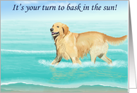 Bask in the Sun Retirement--Golden Retriever on the Beach Card