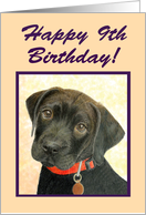 Happy 9th Birthday Special Girl--Black Labrador Retriever Puppy Card