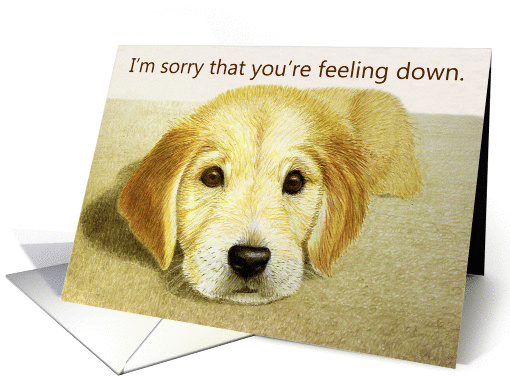 Sorry You're Feeling Down--Golden Retriever Puppy card (1204006)