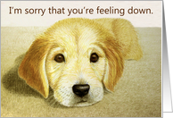 Sorry You’re Feeling Down--Golden Retriever Puppy Card