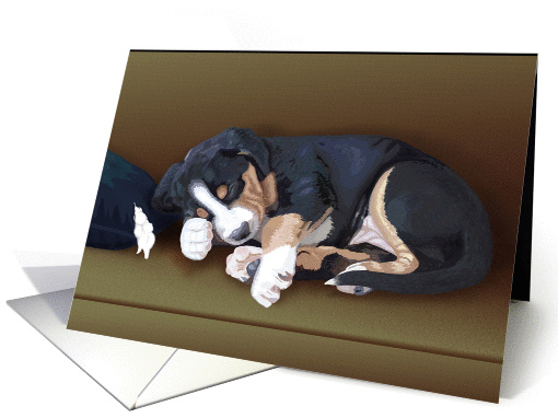 Trouble--Greater Swiss Mountain Dog Puppy Sleeping Blank Note card