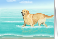 Fun in the Sun--Golden Retriever at the Beach Blank Note card