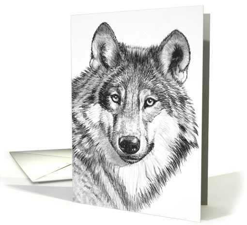 North American Gray Wolf--Endangered Species Blank Note card (1211478)