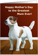 Mother’s Day -- Greatest Mum Ever Jack Russell Terrier Card