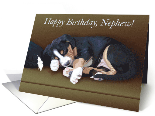 Happy Birthday Nephew -- Cute Sleeping Puppy card (1225398)