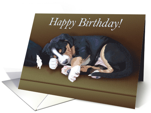 Happy Birthday -- Cute Sleeping Greater Swiss Mountain Dog Puppy card