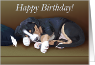 Happy Birthday -- Cute Sleeping Greater Swiss Mountain Dog Puppy Card