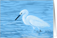 Great White Egret--Blank Note Card