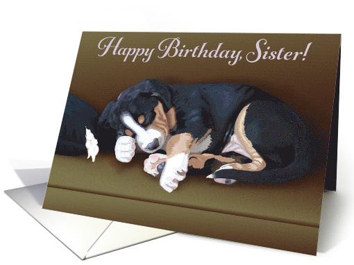 Happy Birthday Sister!--Cute Sleeping Puppy card (1312896)