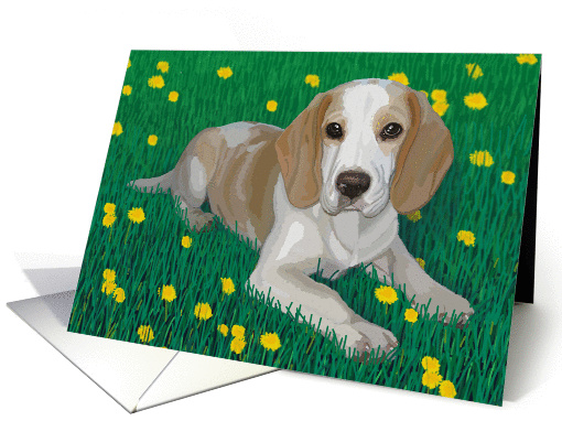 Beagle in a green field with dandelions--Blank note card (1315024)