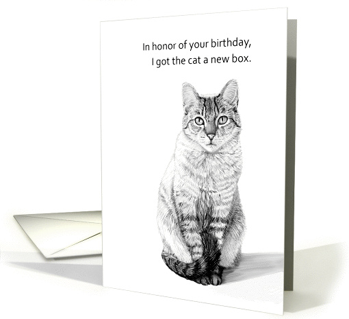 Got cat a new box--Humorous birthday greeting card (1315790)