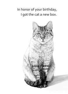 Got cat a new box-...