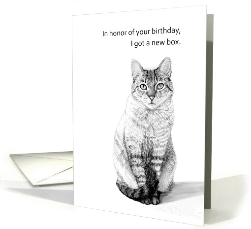 From cat--New box in honor of your birthday card (1315810)