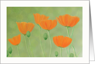 California Poppies Digital Watercolor Painting Blank Notecard card