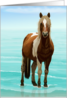 Chincoteague Pony on the Beach--Blank Notecard card