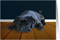 Black Pug Waiting for Playtime--Blank Note card