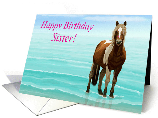 Chincoteague Pony on the Beach--Happy Birthday Sister card (1405344)