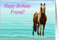 Chincoteague Pony on the Beach--Happy Birthday Friend card