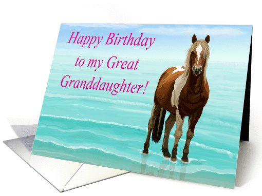 Chincoteague Pony on the Beach--Happy Birthday Great... (1405470)