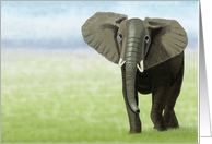 Curious Young African Elephant Painting Blank Note card