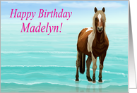 Chincoteague Pony on the Beach--Happy Birthday Madelyn card