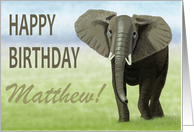 Curious Elephant--Happy Birthday Custom Name card