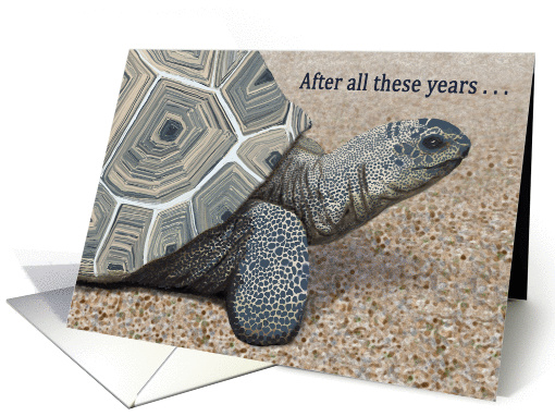 Tortoise--After All These Years Hot Babe Anniversary card (1406278)