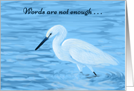 White Egret--Words...