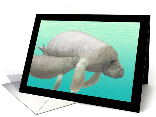 Manatee and Calf Blank Note card (1489320)