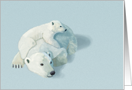 Polar Bear and Cub--Blank Note card